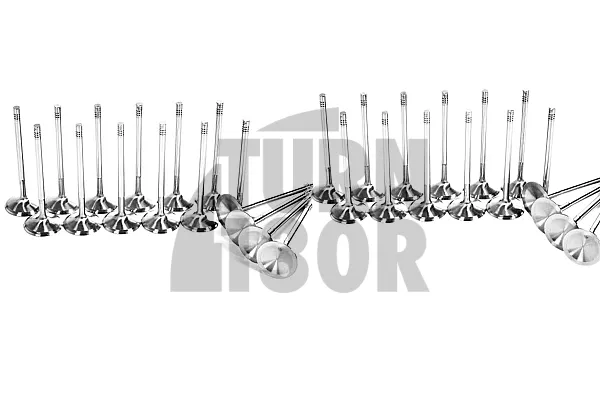 BMW M3 E46 Ferrea Competition Plus Engine Valves x24